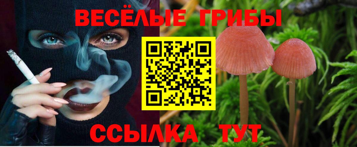 А ПВП Ирбит